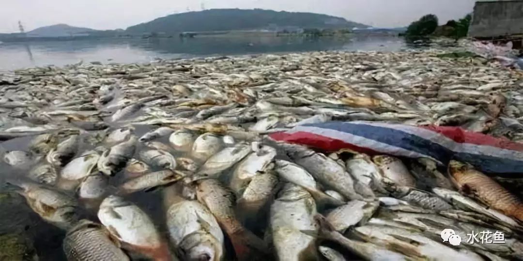 除虫菊酯类农药中毒治疗措施,菊脂类农药中毒解毒方法