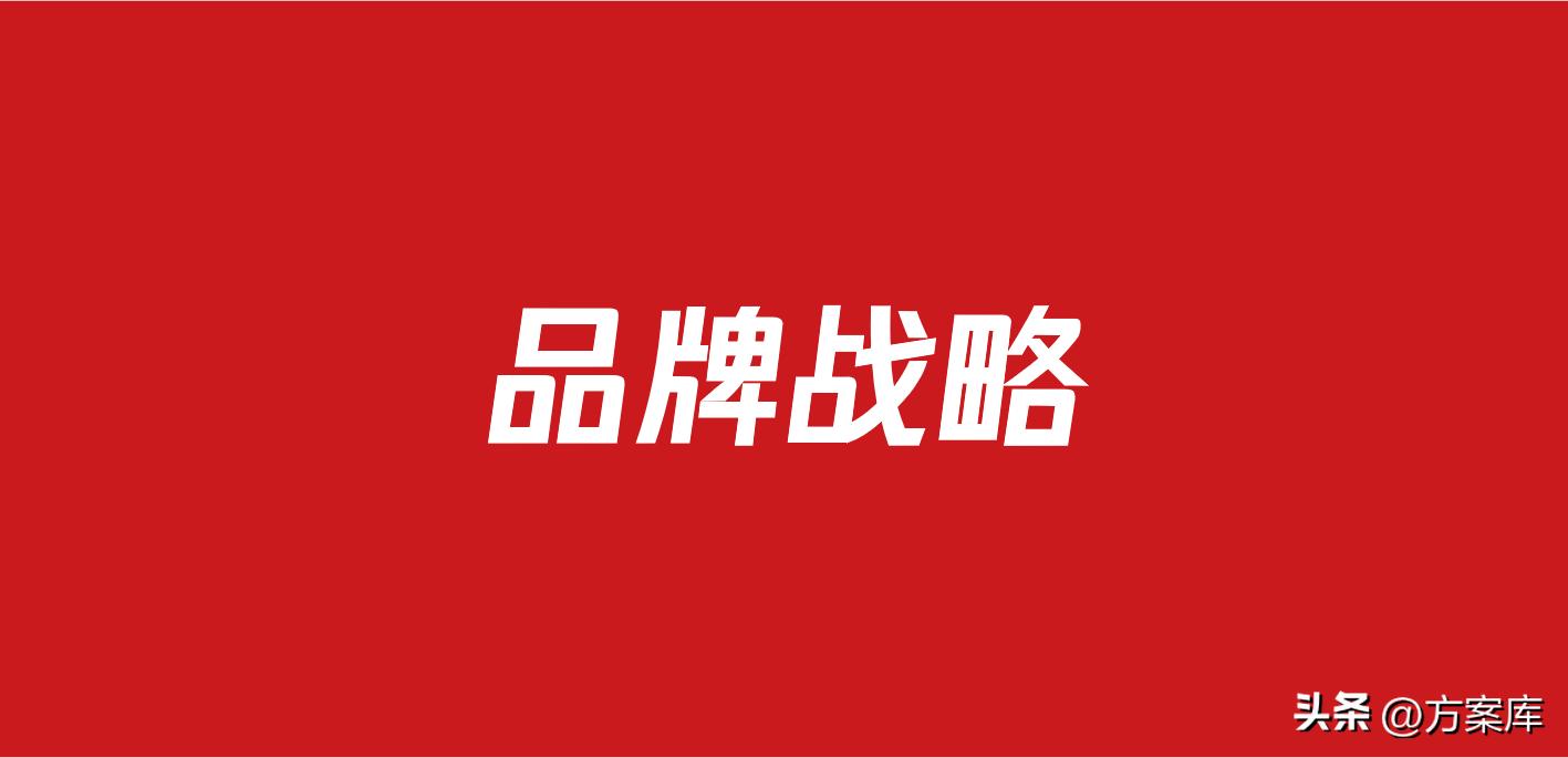 504品牌战略方案(94份)