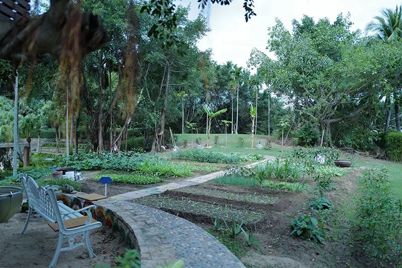 三亚归来不看海什么意思,三亚归来不看海黄山归来不看山