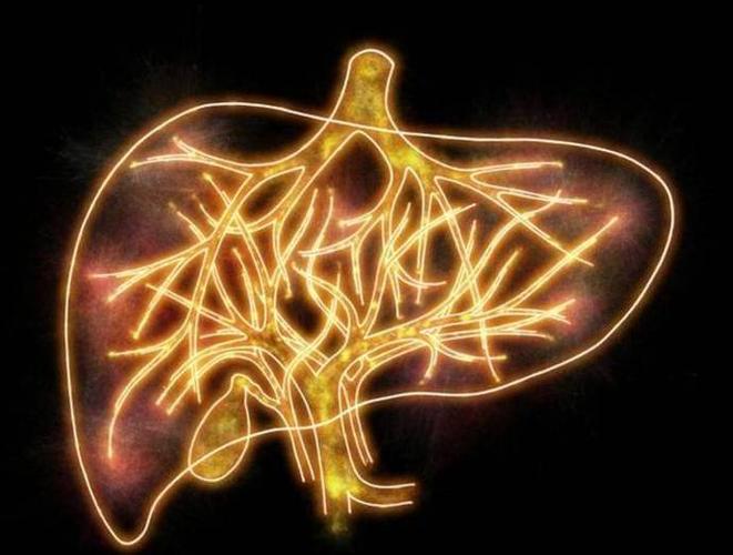 中医对中风的认知和康复方法,脑中风跟癫痫有什么区别