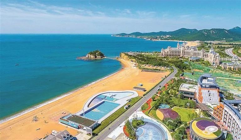 专项整治工作专班职责,成立专项整治行动领导小组