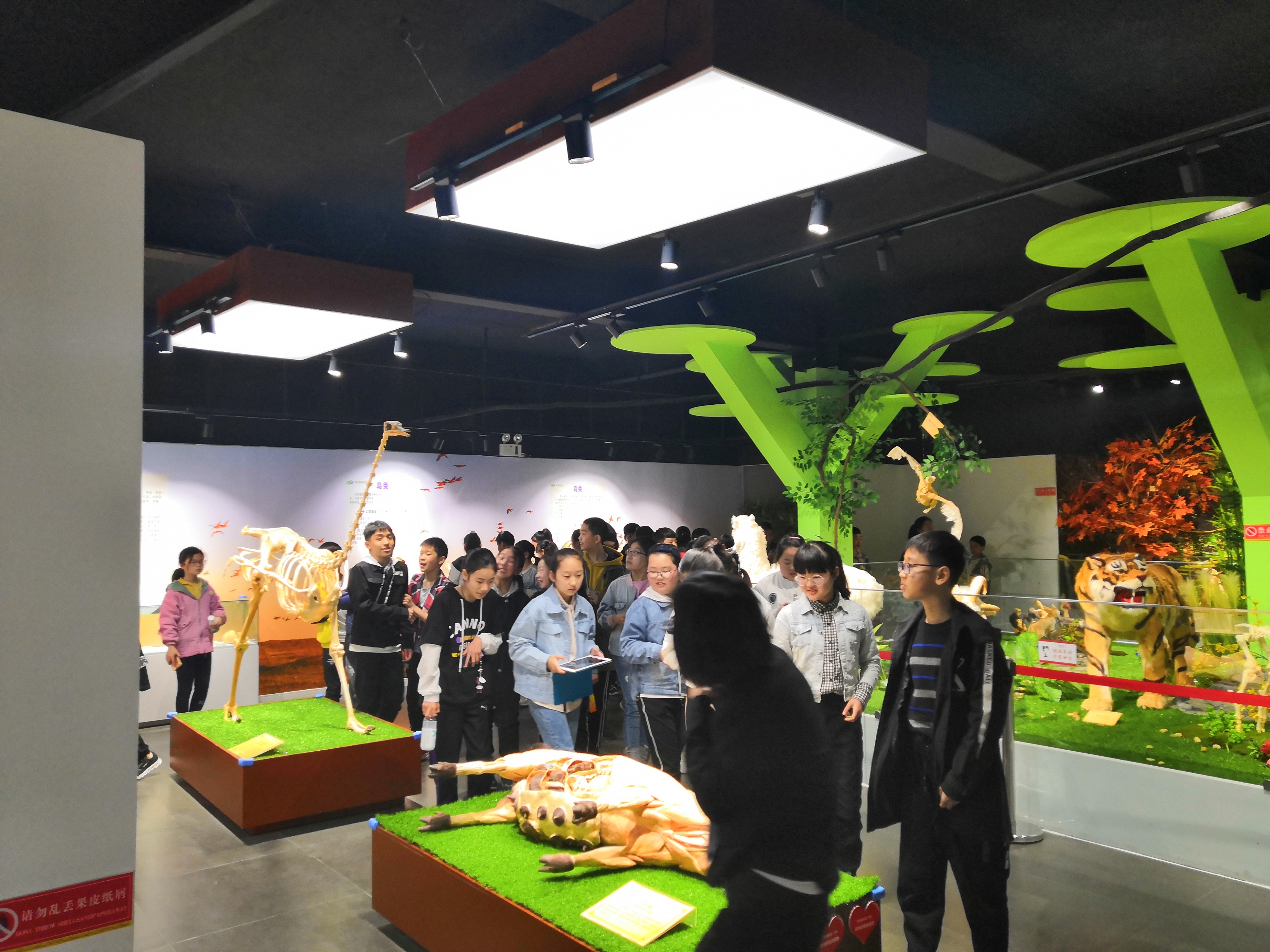 郑州周边遛娃自驾一日游,郑州北部秋季遛娃免费景点