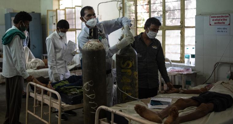 印度吹阵风,印度吹过的牛