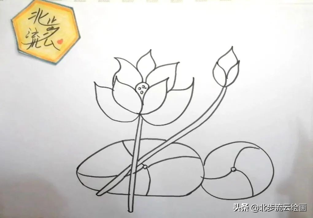 青蛙和荷花简笔画简单又好看,荷花手抄报简单又漂亮简笔画