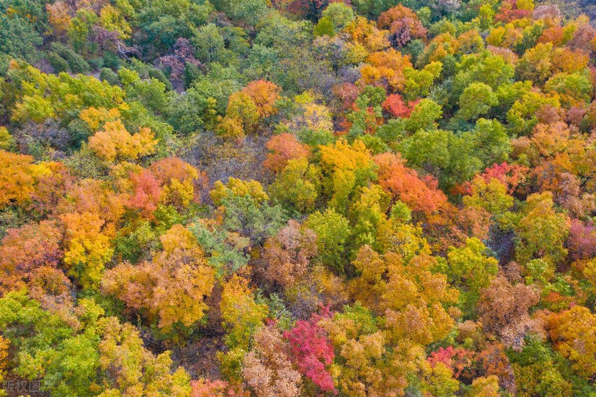 山东省AAAAA旅游景点,5a级景区排行榜山东附近