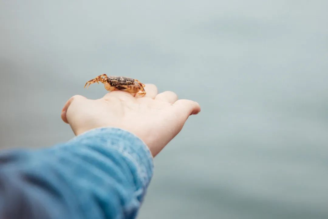 涓栫晫涓婃渶闀跨殑娴锋花鏍堥亾姊呮矙韪忔氮,涓栫晫涓婃渶闀跨殑娴锋花鏍堥亾