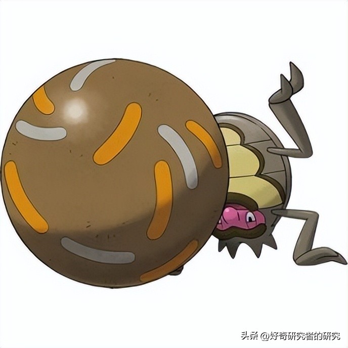 宝可梦大集结所有草系宝可梦,宝可梦大集结现版本最强的宝可梦