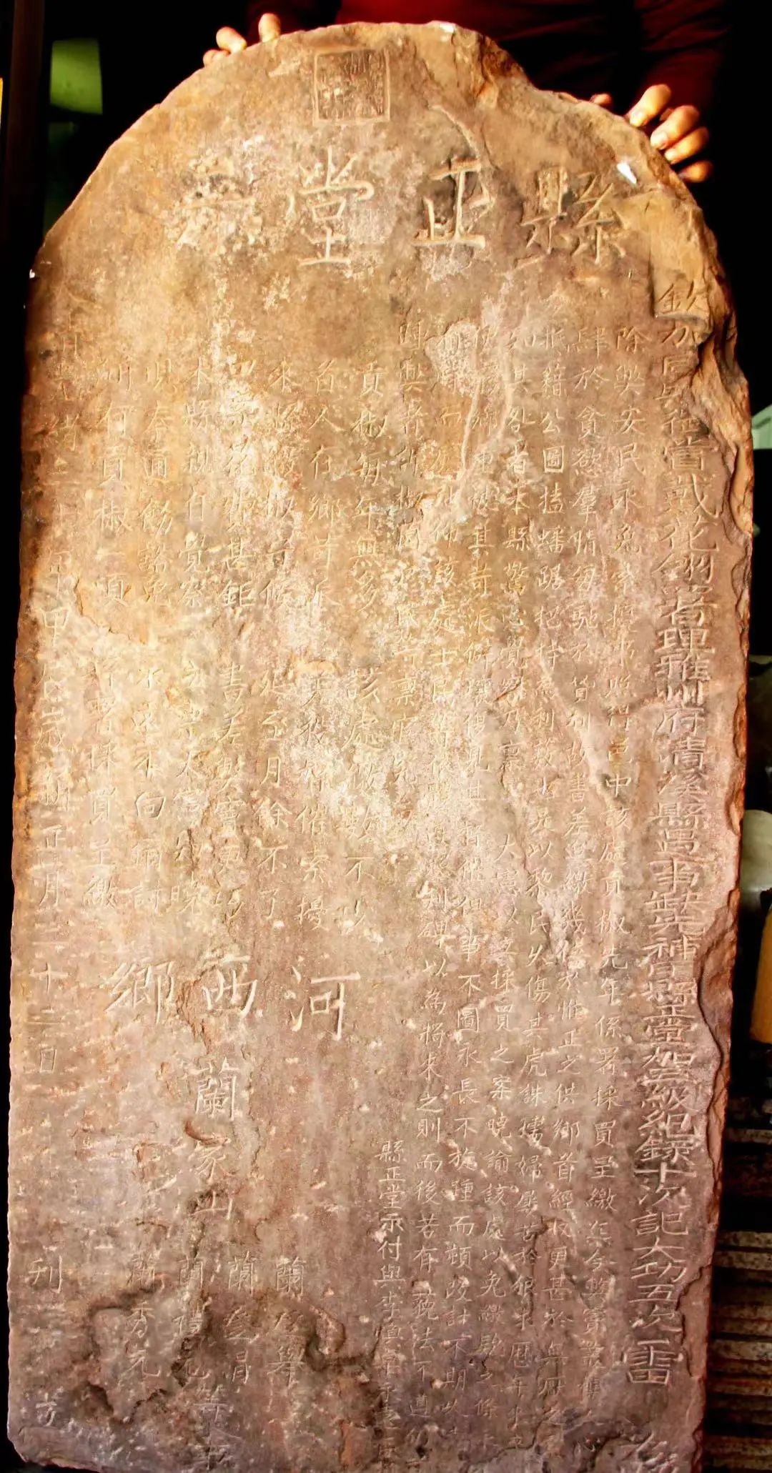 四川大山里有啥名贵药材,四川农村的十大特产