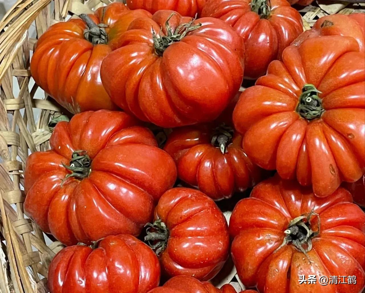 番茄转色不良用什么肥,番茄转色的六种表现