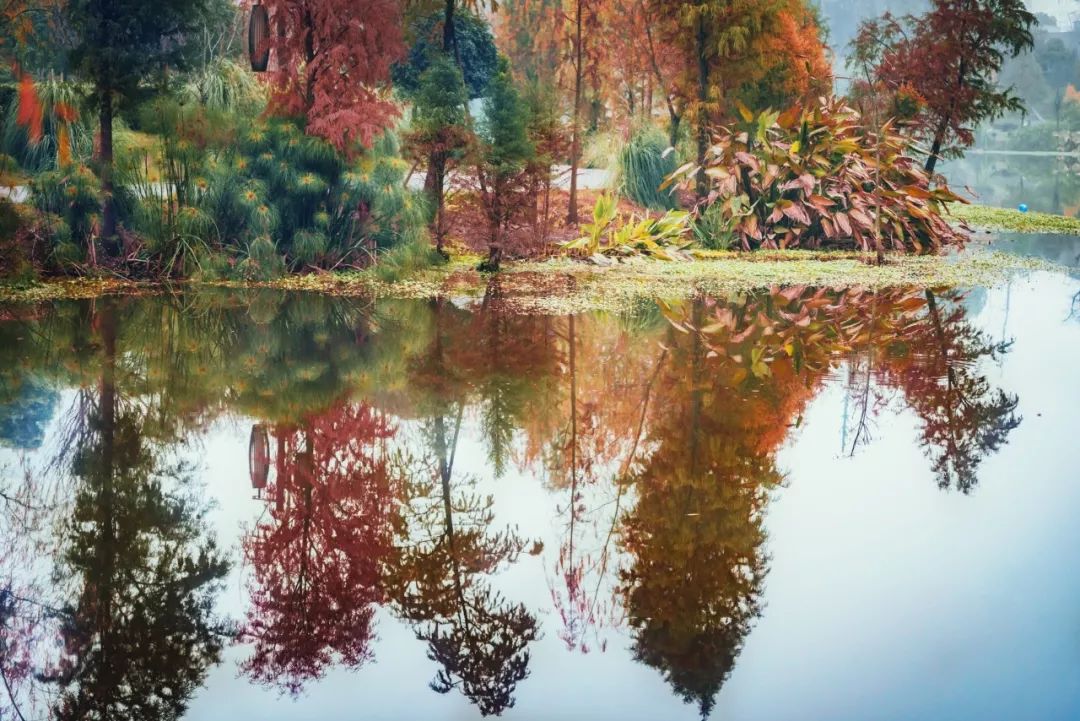 你几月出生就是什么命太准了,几月生是水命人