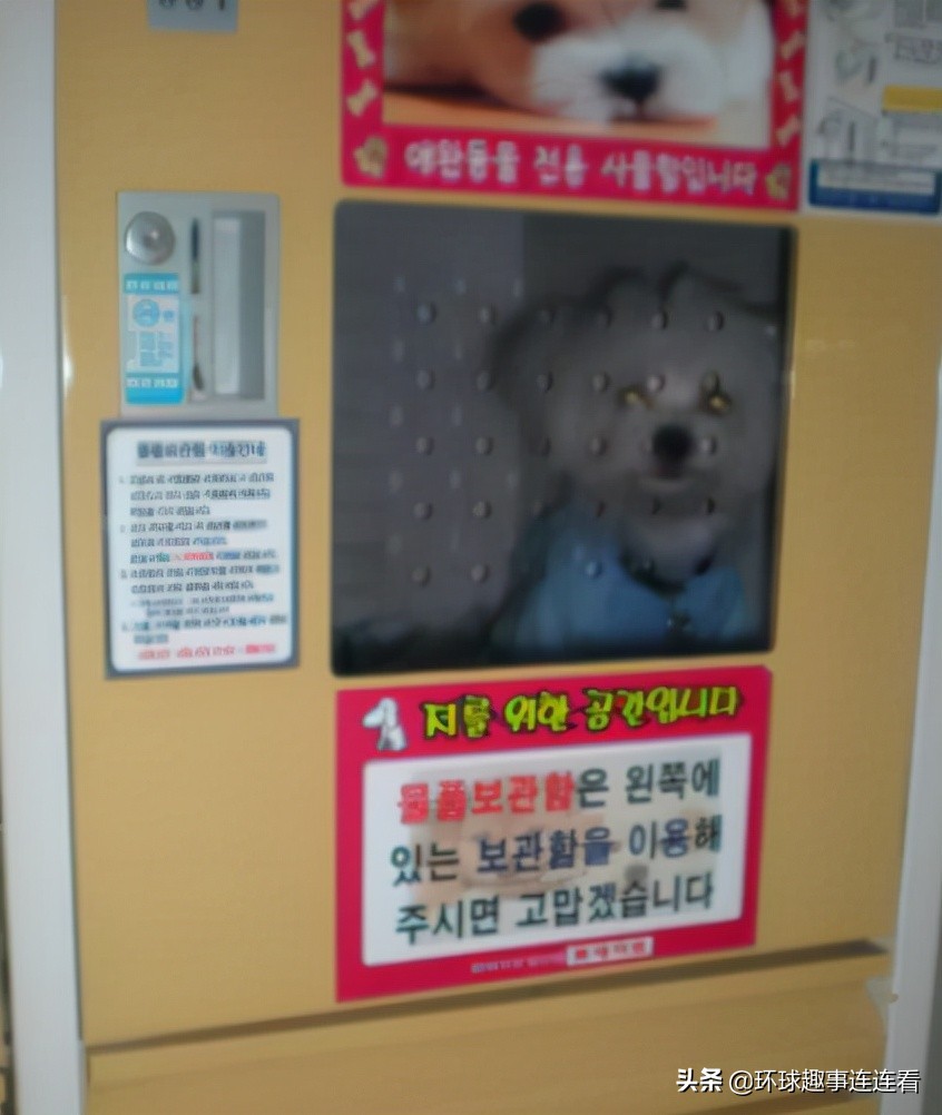 10张让人颠覆的图片,5张让人震撼的图片