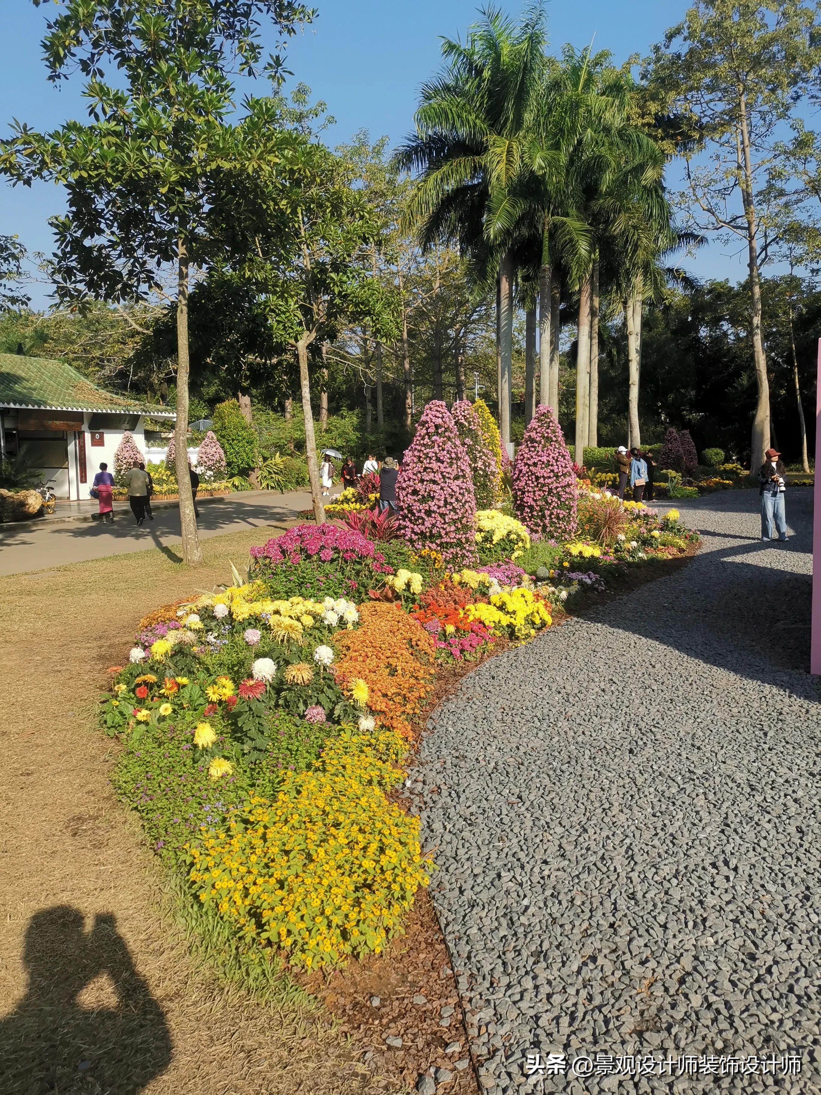 深圳市东湖公园广场舞,深圳市东湖公园收费标准