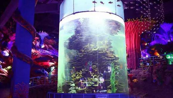 欧乐堡海洋极地公园攻略,欧乐堡最全游玩攻略请收好