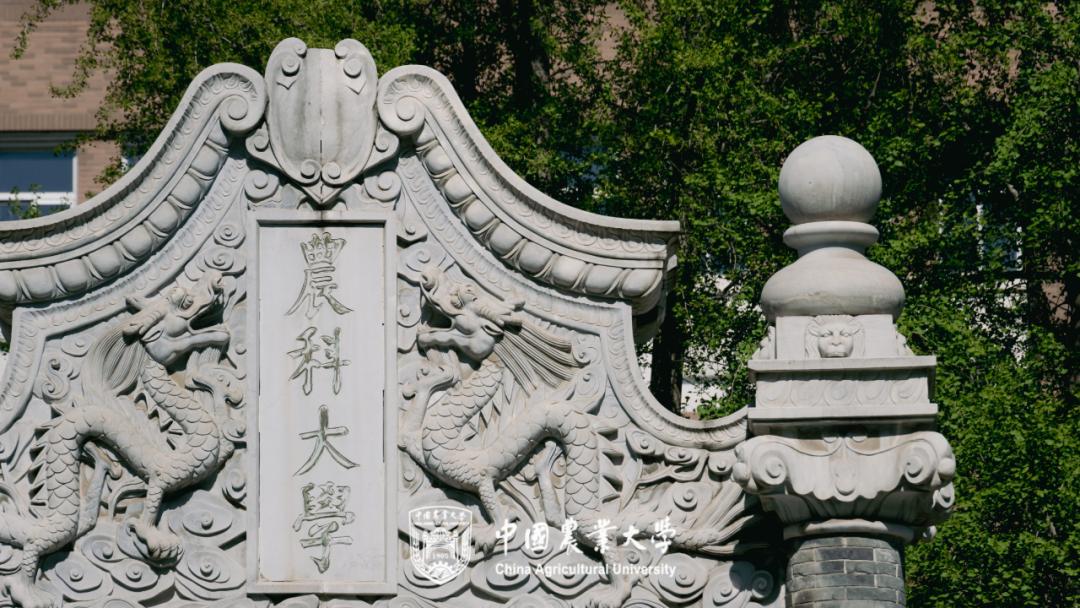 何为中国农业大学？举农为本，一“曲”传四海，“辰”光遍神州！