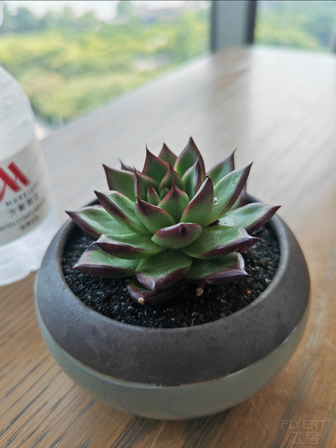 湖景套,单台盆,小浴缸,中式园林度假酒店—无锡蠡湖万豪