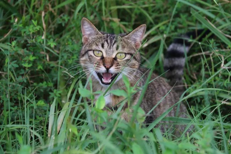 来宏村玩什么,来宏村
