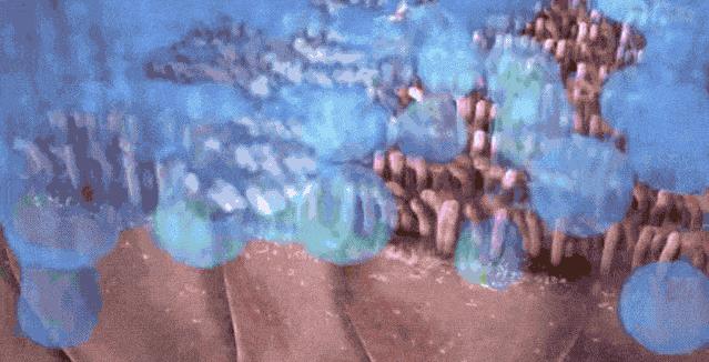 盐水怎么洗鼻子治疗鼻炎,盐水洗鼻炎副作用