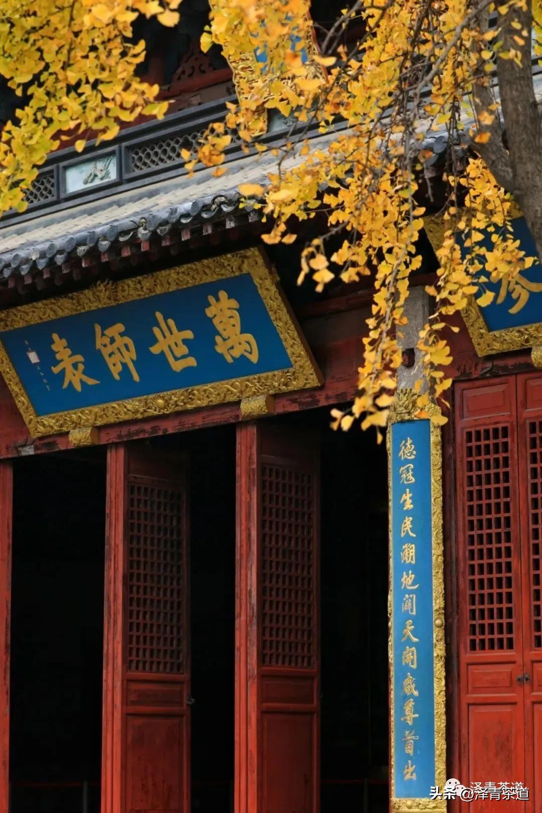 福建中国茶叶第一大省,中国茶叶排名第一省