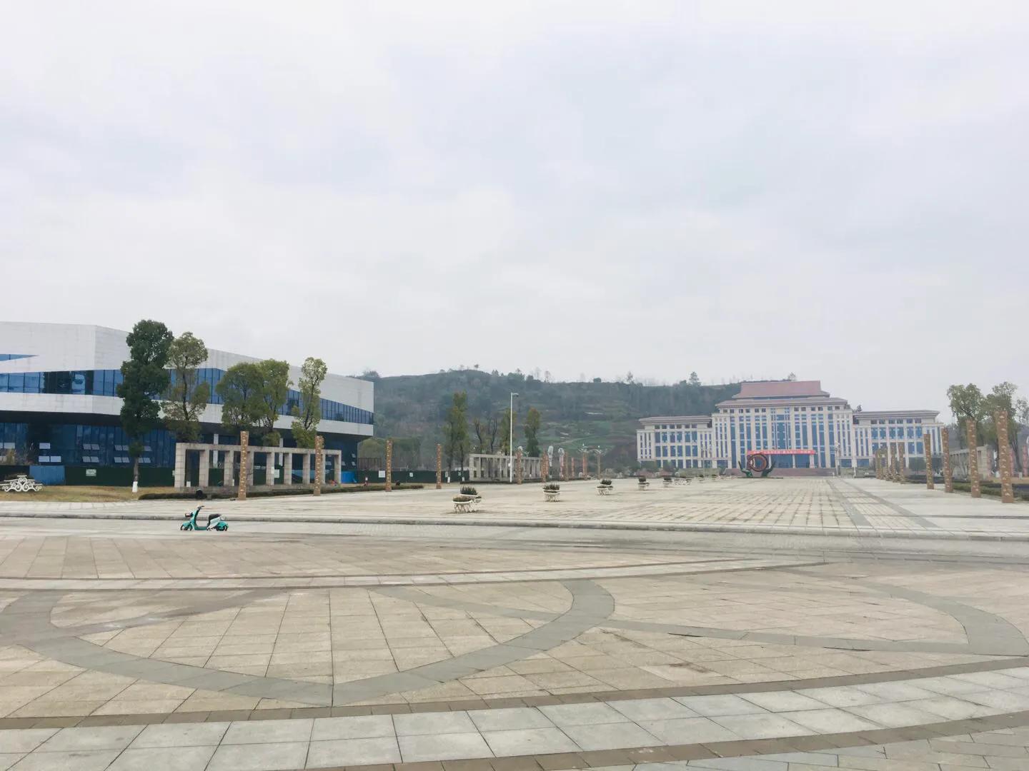 广安前锋区历史,四川广安前锋区发展