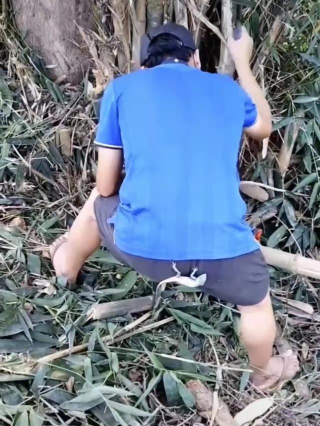 男子上山砍竹笋，没想到带了只壁虎回家，邻居感叹：这叫虎虎生威