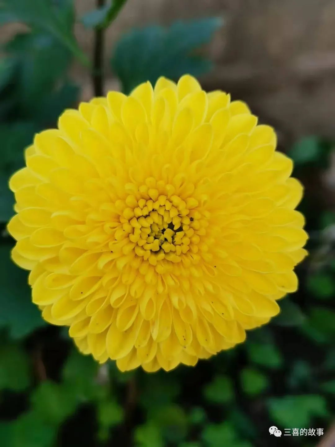 没有钱病了怎么办,如果没有钱生病了该怎么办呢