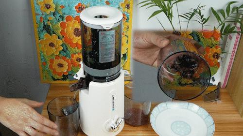 蓝宝的冰淇淋机,德国蓝宝榨汁杯冰淇淋