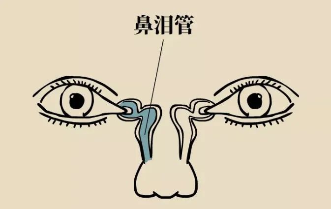 鼻窦发炎眼睛会持续疼还是偶尔疼,为什么得了鼻窦炎头很疼