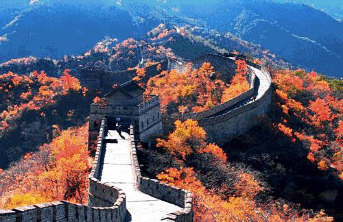 奇奇怪怪可可爱爱语录集,世界奇奇怪怪而你可可爱爱什么梗