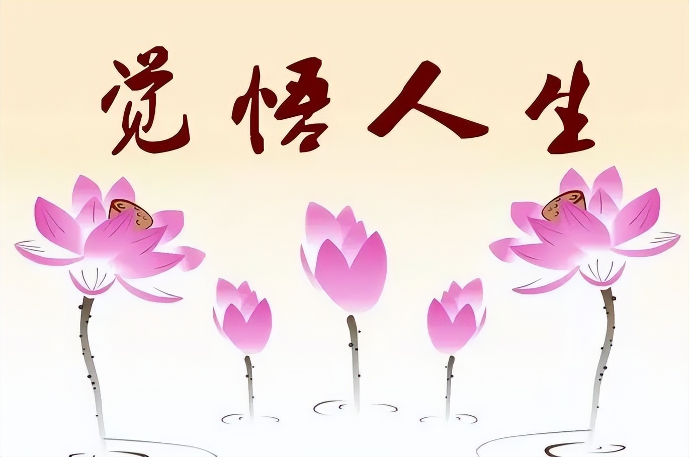 3.此文介绍“好材料”要主题鲜明、素材丰富、语言精美、结构严谨