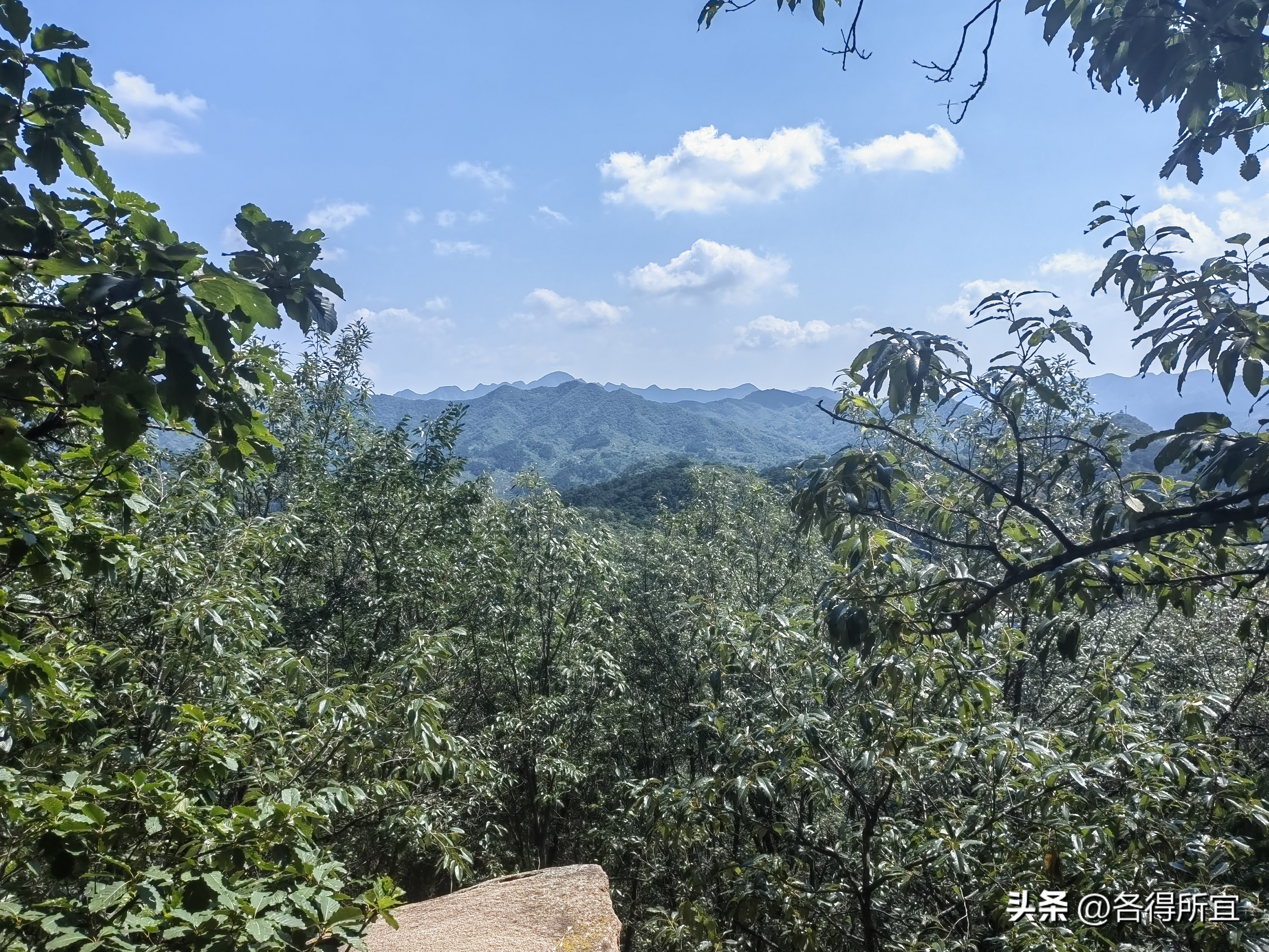 银山塔林落落洞,银山塔林传说