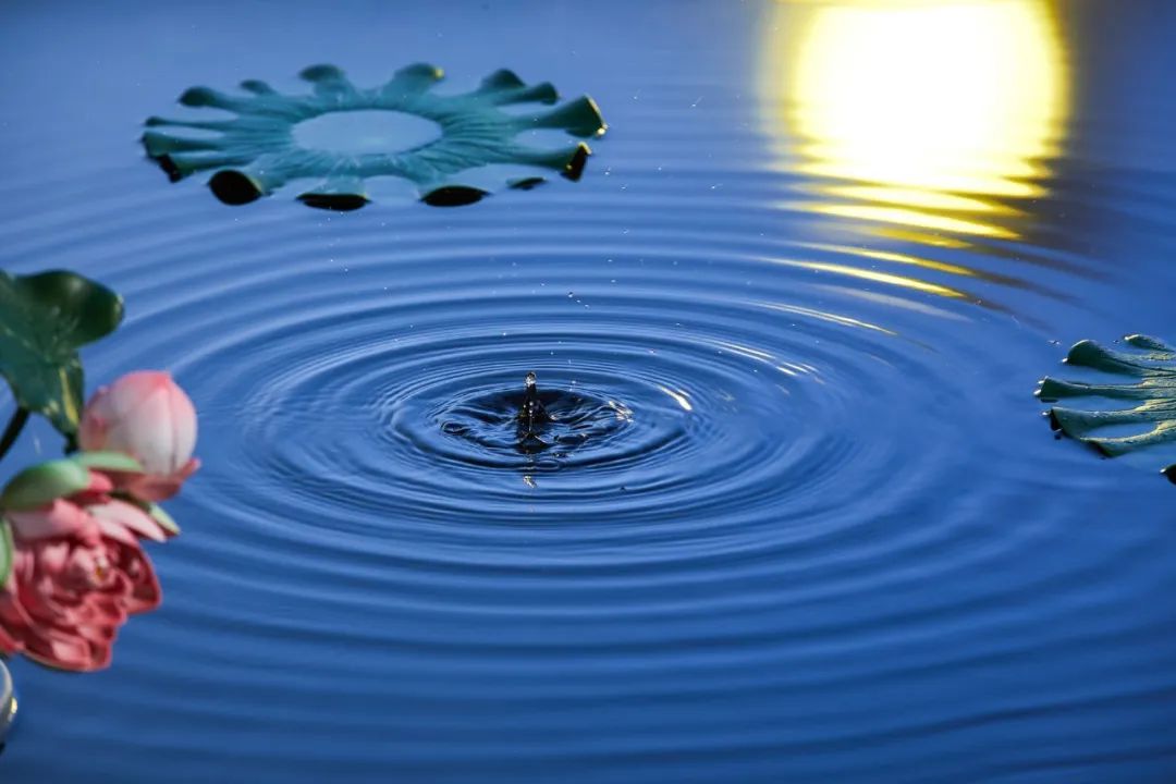 张若虚春江花月夜鉴赏,春江花月夜张若虚经典咏流传