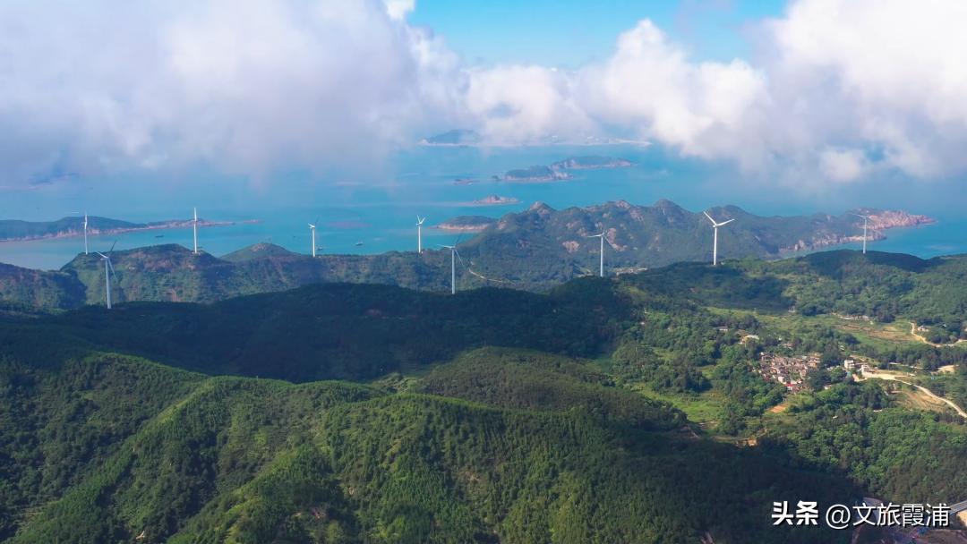 东海1号海钓,东海1号