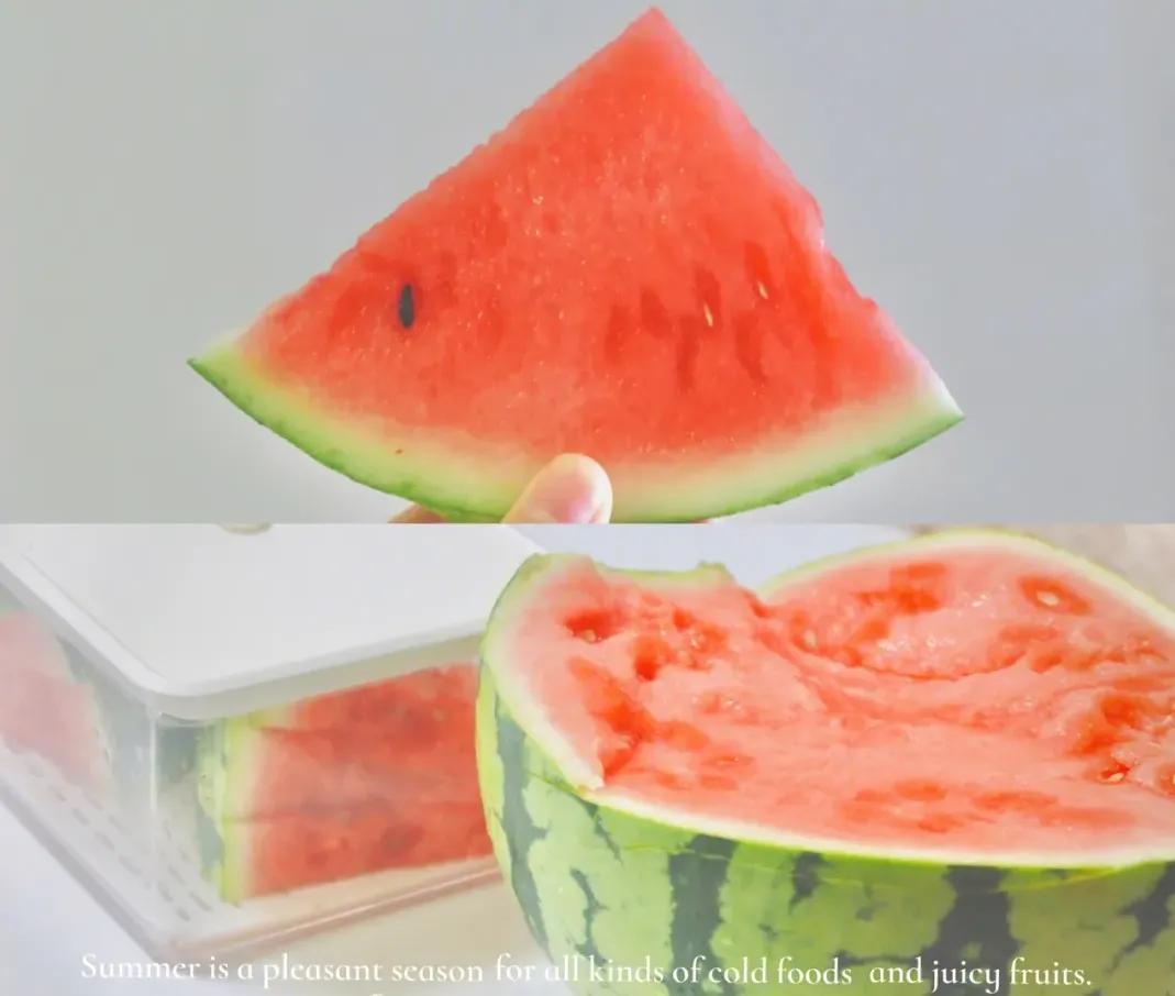 亲子游玩地点推荐沙滩寻宝,带娃好去处丛林探险