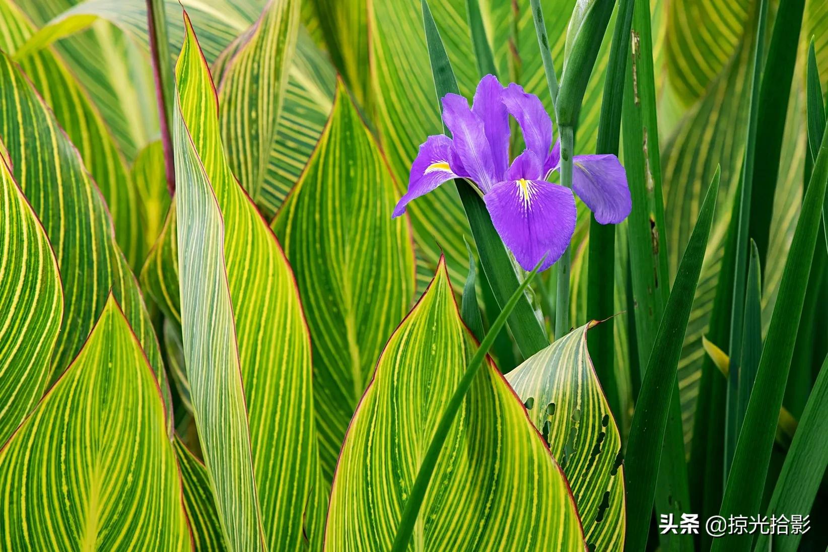 一路相伴此生无憾,缘分相伴此生无憾