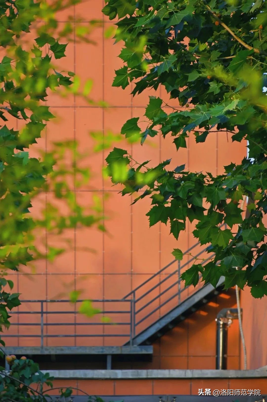 当洛师邂逅43种中国传统色……