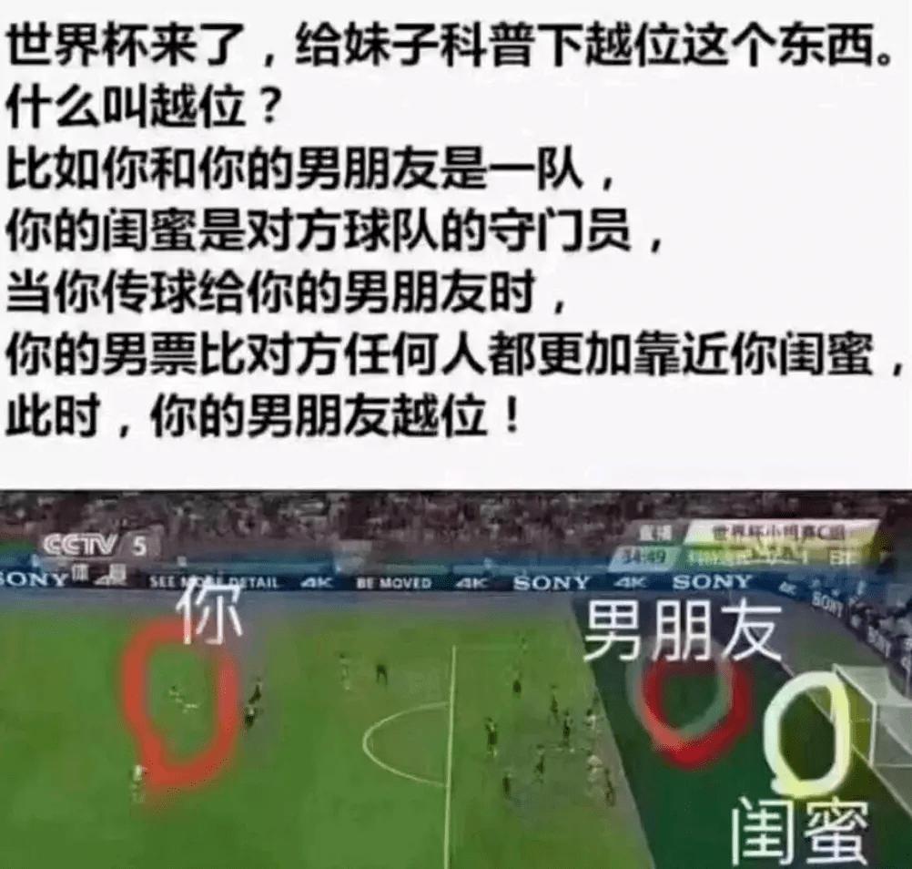 世界杯球场草皮是什么草,世界杯比赛球场是什么草