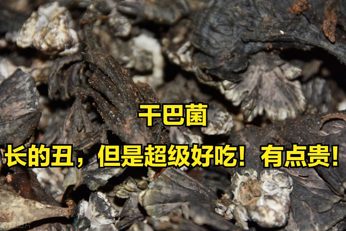 云南公务员待遇性价比,云南省各地市公务员待遇排行榜