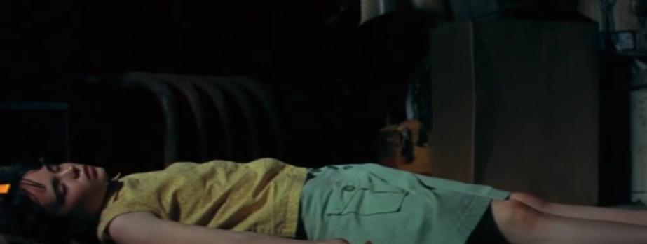 美国最残忍的虐待事件，16岁少女成人形家畜，身上留有150处伤口