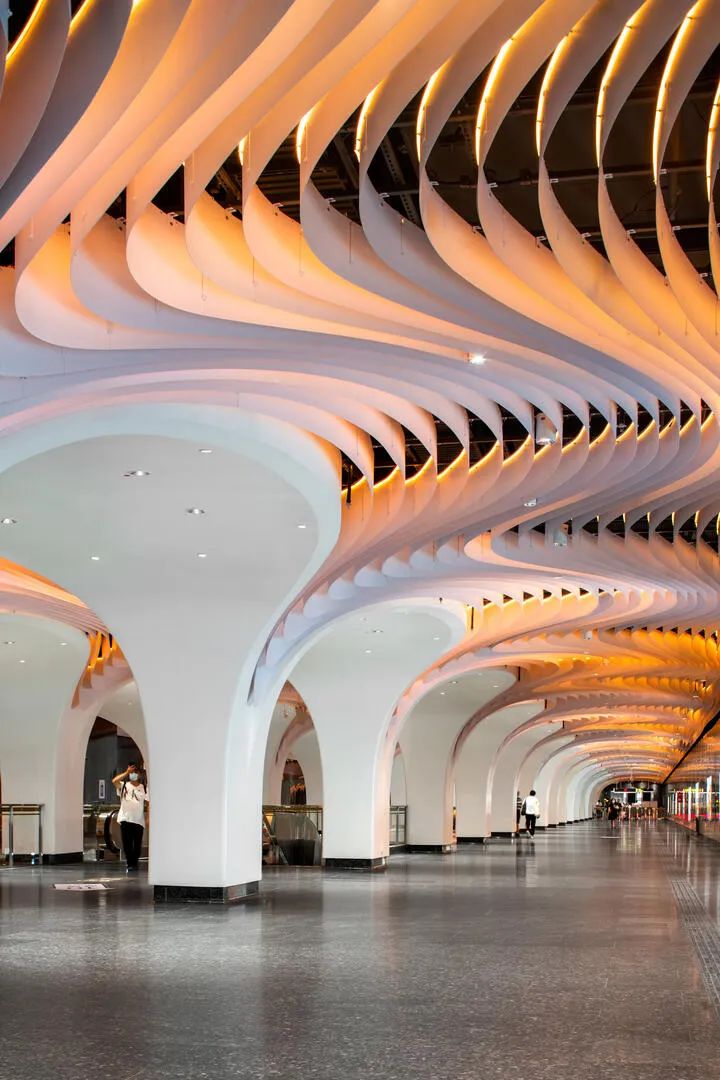 上海市白玉兰荣誉奖,上海白玉兰荣誉奖2020