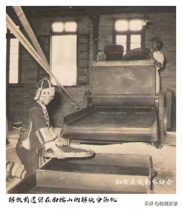 中国茶叶与印度茶,中国和印度茶叶现状分析