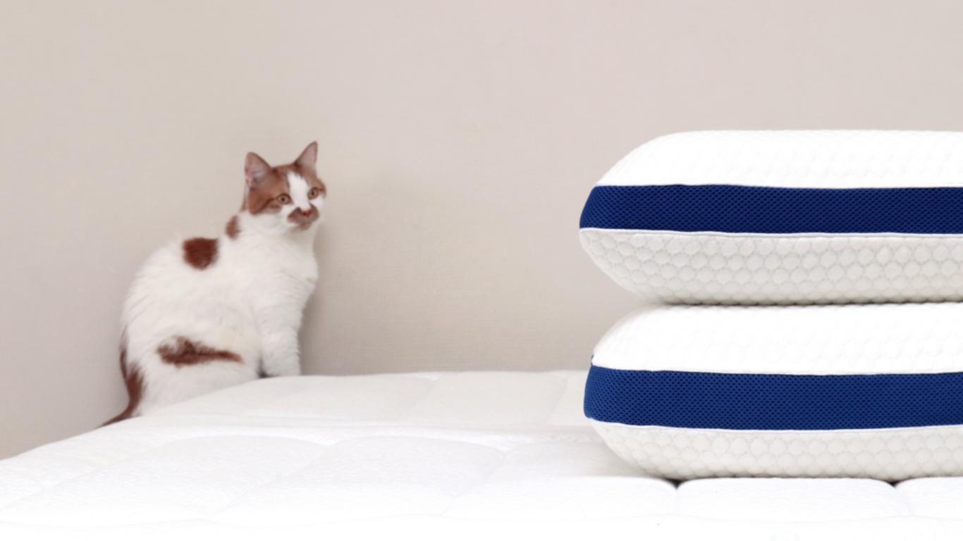 乳胶枕真的那么好用吗,乳胶枕耐用吗