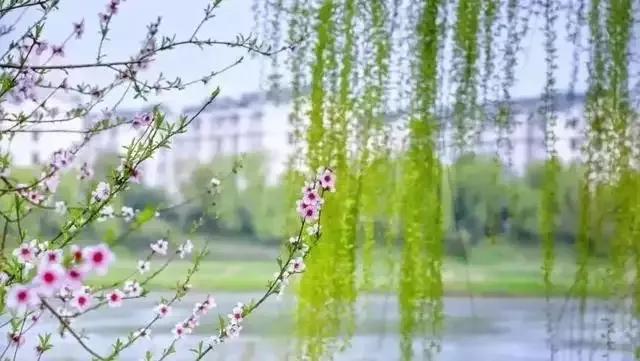 周口教育学院05年院长,周口教育学院简介