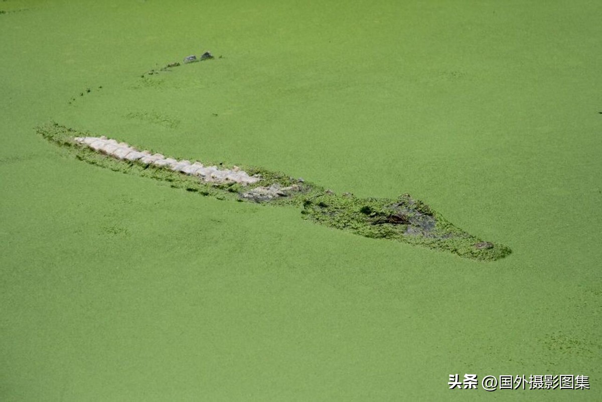 世界顶级唯美人像摄影师,世界顶级自然摄影师作品