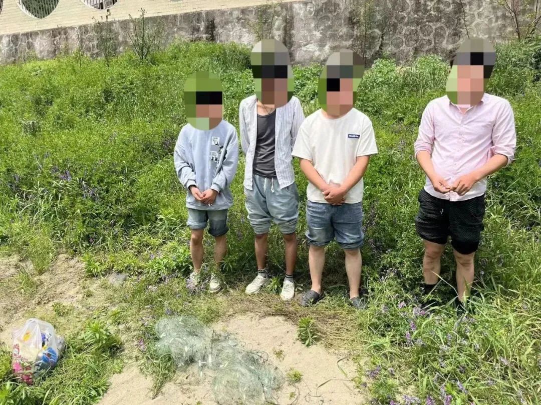 武都公安时刻守护你的平安,陇南公安新闻最新消息