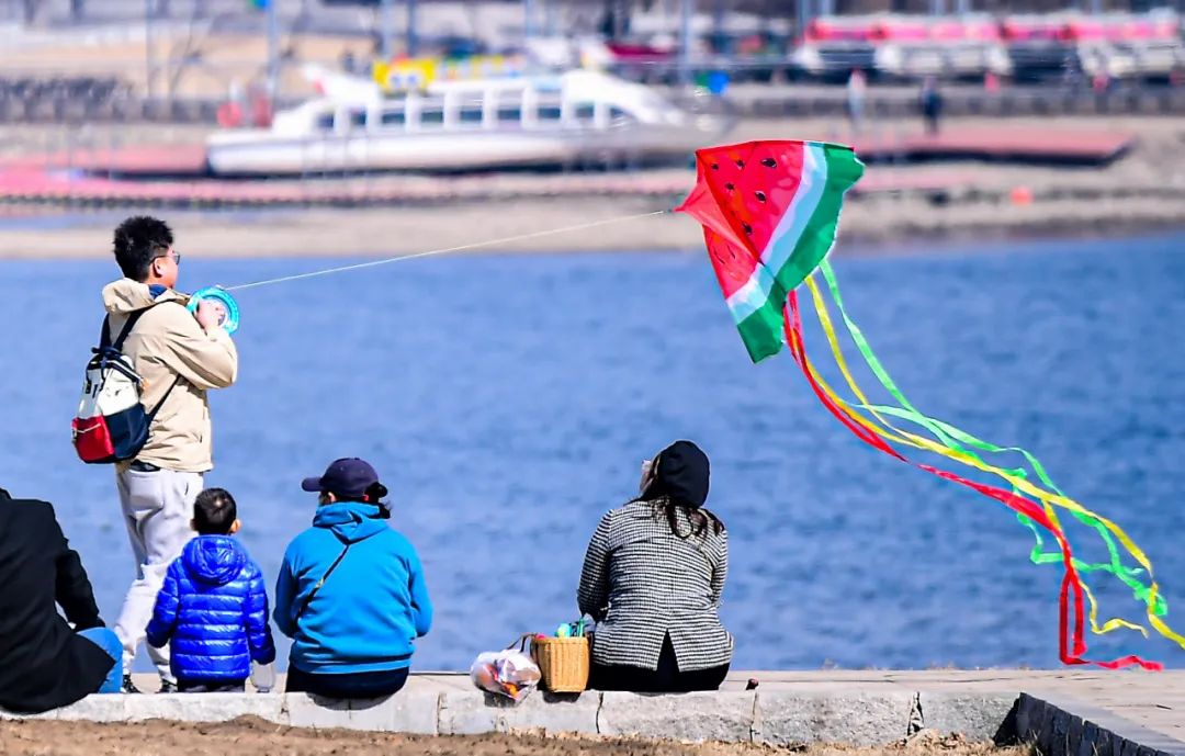 沈阳最近郊游最佳地点,沈阳湿地公园丹顶鹤放飞