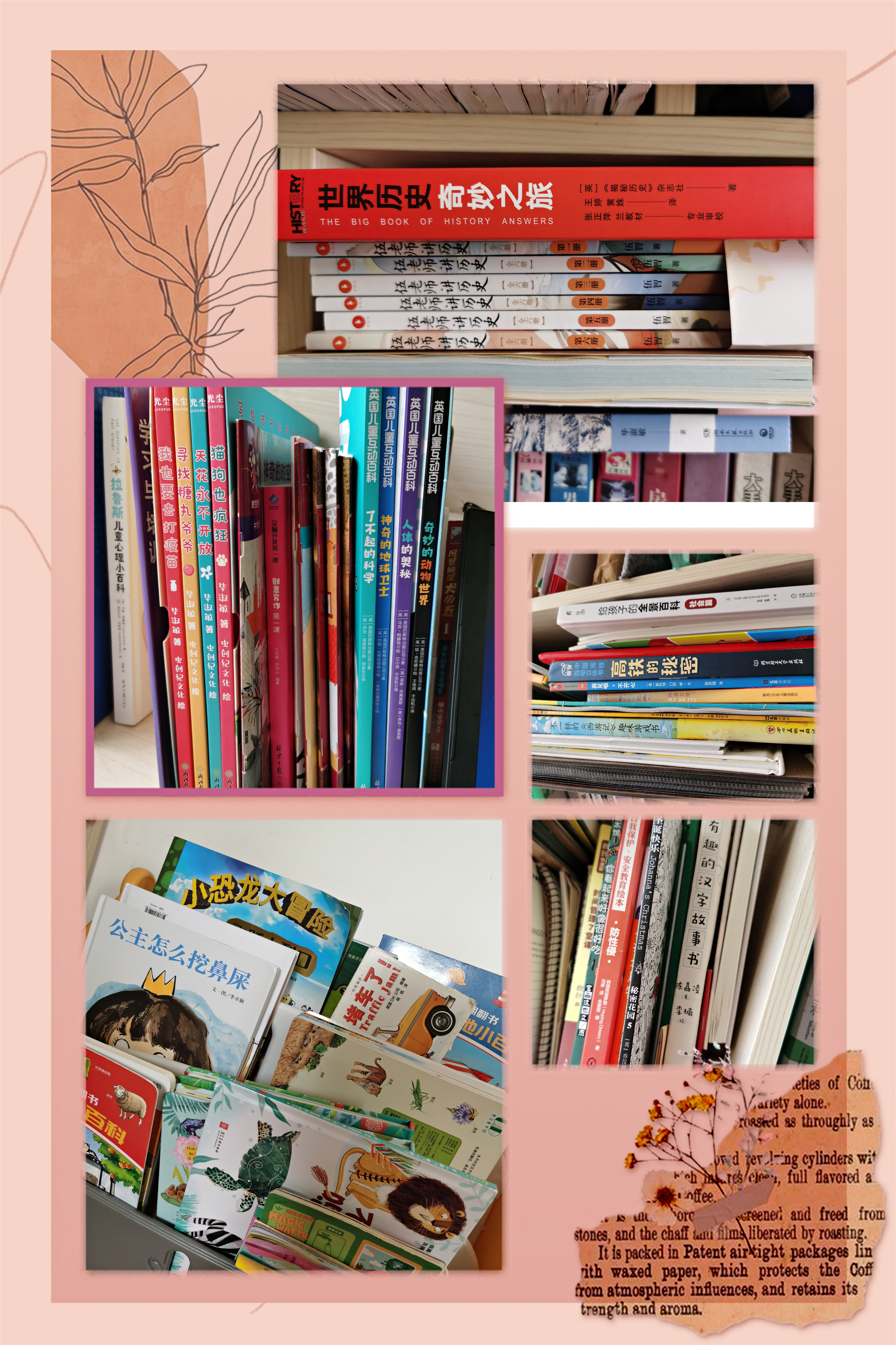 如何给孩子选英语启蒙书,如何教会孩子选择书