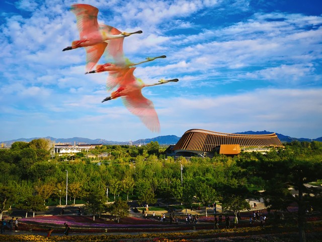 唐朝杜甫绝句,唐代诗人杜甫的经典名句