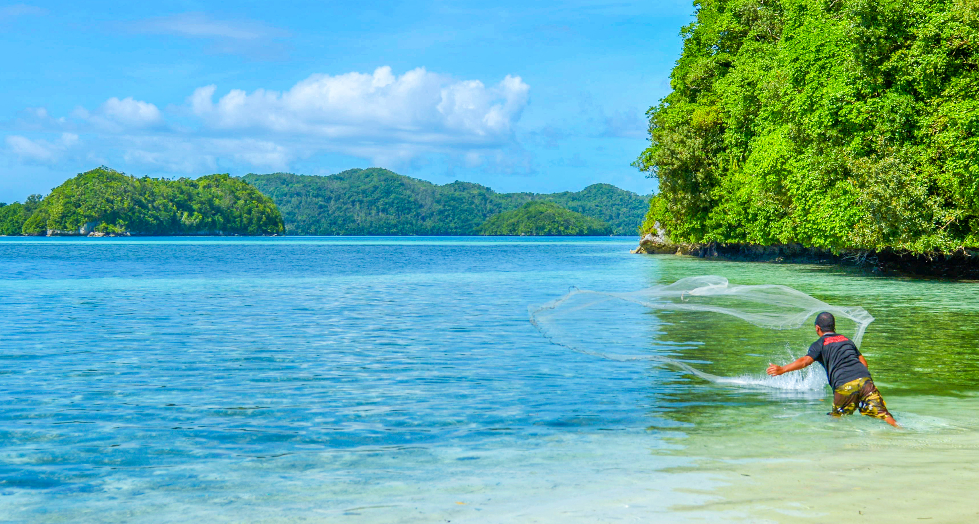 孤悬在太平洋上的岛国,帕劳,人生最值得一去的旅游目的地之一