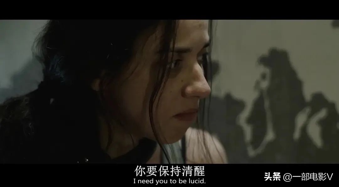 变态重口实验把人当狗养，结局高能反转《好像一条狗》