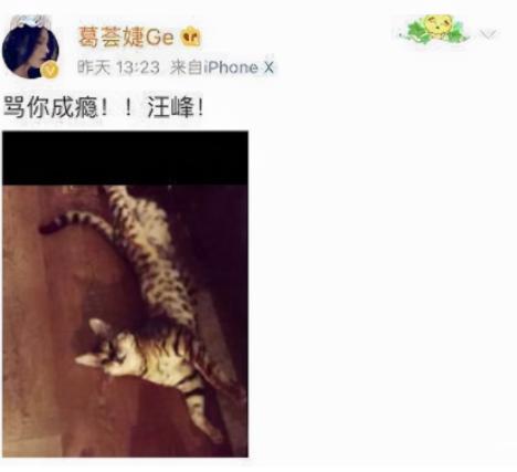 葛荟婕直播回应与汪峰关系,葛荟婕几岁跟汪峰在一起